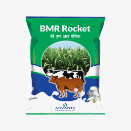 BMR Rocket